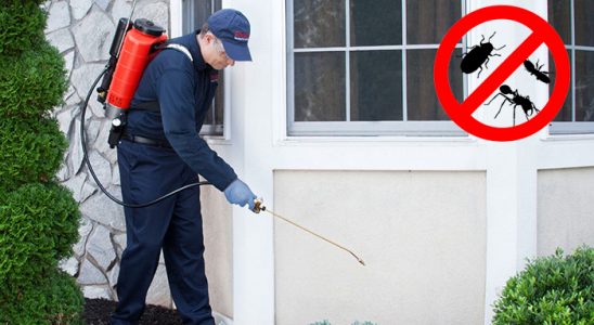 Koçarlı Hamam Böceği İlaçlama böcek ilaçlama ve haşere kontrolü — ilaclama-tr.com